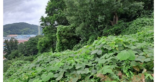 경상남도 김해시 진례면 고모리 OOO 임야 경매 물건 이미지