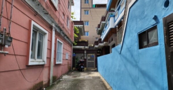 울산광역시 동구 전하동 OOOOO 단독주택 경매 물건 이미지