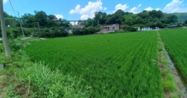 경상남도 하동군 금성면 갈사리 OOOO 답 경매 물건 이미지