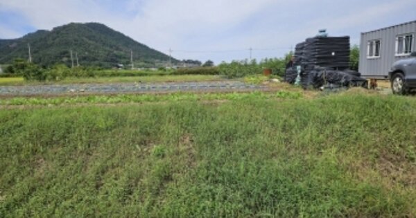 전라남도 여수시 소라면 대포리 OOOOOO 답 경매 물건 이미지