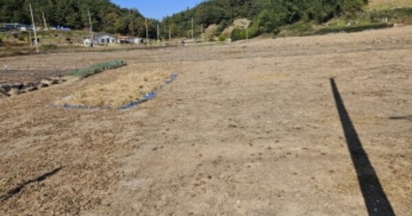 전라남도 고흥군 과역면 신곡리 OOO O OOO 전 경매 물건 이미지