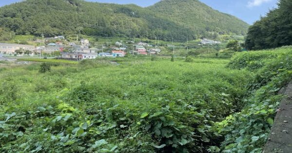 경상남도 남해군 창선면 율도리 OOO 답 경매 물건 이미지