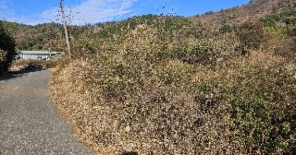 전라남도 보성군 조성면 은곡리 OO O OOO 답 경매 물건 이미지
