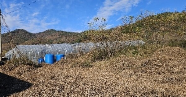 전라남도 보성군 조성면 은곡리 OOOOO 전 경매 물건 이미지
