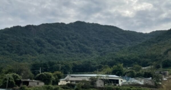 경상남도 남해군 고현면 대곡리 OOOOOO 임야 경매 물건 이미지