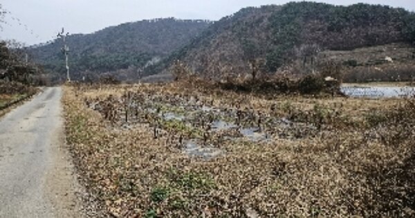 전라남도 보성군 문덕면 용암리 OOOOO O OOO 답 경매 물건 이미지