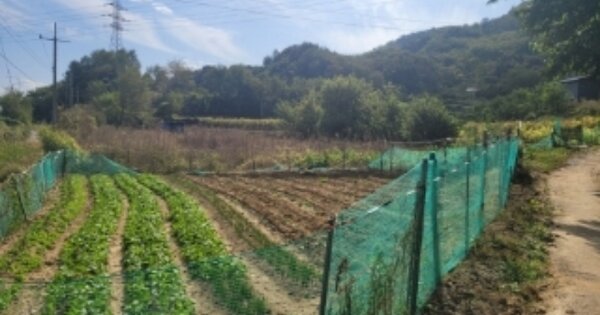 충청북도 청주시 서원구 남이면 석실리 OOOOO 답 경매 물건 이미지