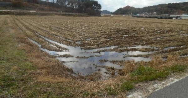 충청남도 서산시 지곡면 도성리 OOOOOOO O OOO 답 경매 물건 이미지