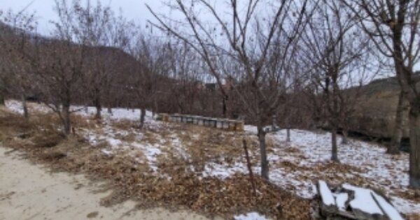 충청북도 보은군 수한면 광촌리 OOOOO 전 경매 물건 이미지
