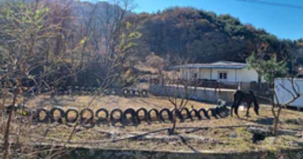 경상남도 창원시 의창구 북면 지개리 OO 과수원 경매 물건 이미지
