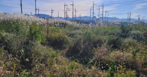 경상북도 경산시 자인면 서부리 OOO 대지 경매 물건 이미지