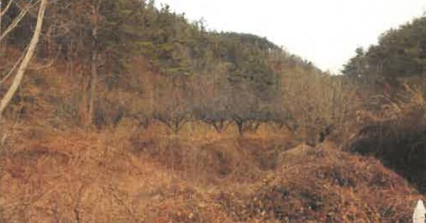 경상북도 영천시 화남면 죽곡리 OOO 전 경매 물건 이미지