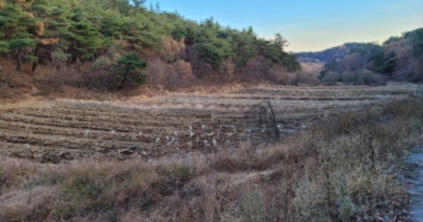 울산광역시 북구 가대동 OO 전 경매 물건 이미지