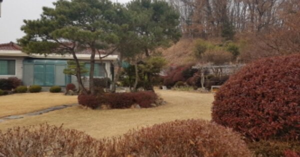 세종특별자치시 부강면 문곡리 OOO O OOO 단독주택 경매 물건 이미지