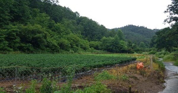 경상북도 의성군 단촌면 후평리 OOOOO O OOO 전 경매 물건 이미지