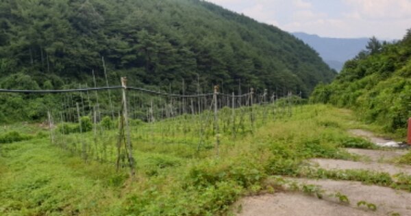 경상남도 거창군 고제면 개명리 OOO O OOO 단독주택 경매 물건 이미지