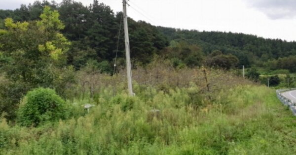 경상남도 거창군 주상면 도평리 OOO O OOO 과수원 경매 물건 이미지