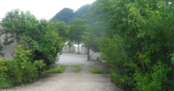 강원특별자치도 영월군 영월읍 방절리 OOO 유원지 경매 물건 이미지