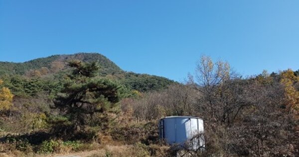 경상북도 의성군 가음면 현리리 OOO O OOO 답 경매 물건 이미지