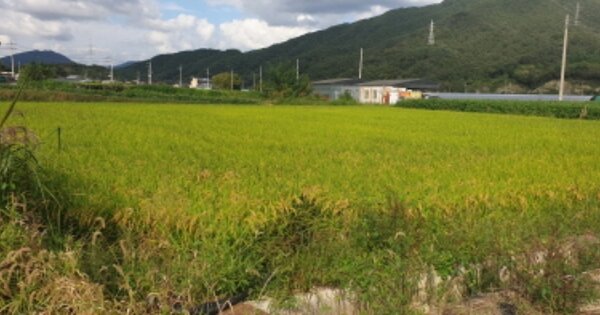 경상남도 함양군 함양읍 백천리 OOO 답 경매 물건 이미지