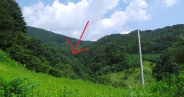 강원특별자치도 영월군 상동읍 구래리 OOO 전 경매 물건 이미지