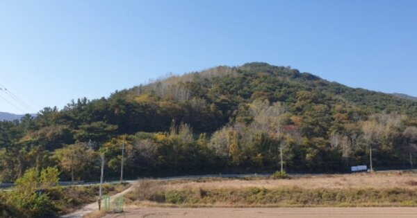 경상남도 합천군 청덕면 대부리 OOO 임야 경매 물건 이미지