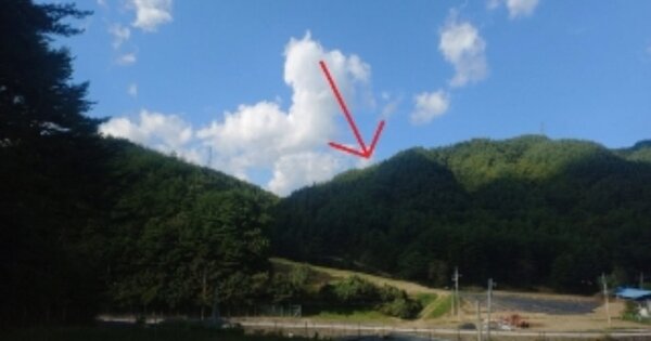 강원특별자치도 정선군 임계면 임계리 OOOO 임야 경매 물건 이미지