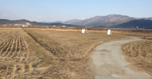 경상북도 경주시 건천읍 건천리 OOOOO O OOO 답 경매 물건 이미지