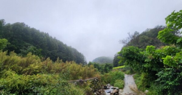 경상북도 김천시 증산면 유성리 OOO 전 경매 물건 이미지