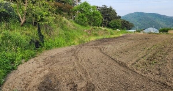 충청남도 보령시 웅천읍 노천리 OOO 답 경매 물건 이미지