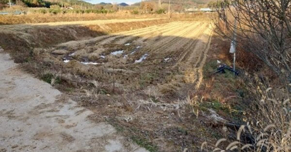 충청남도 공주시 이인면 신영리 OOOOO 답 경매 물건 이미지