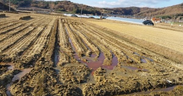 충청남도 공주시 계룡면 향지리 OOOOO 답 경매 물건 이미지