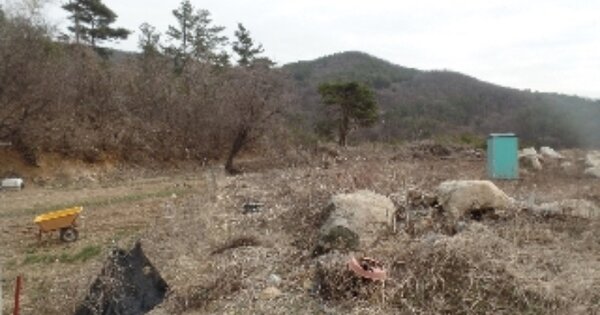 충청남도 계룡시 엄사면 향한리 OOOOOO O OOO 임야 경매 물건 이미지