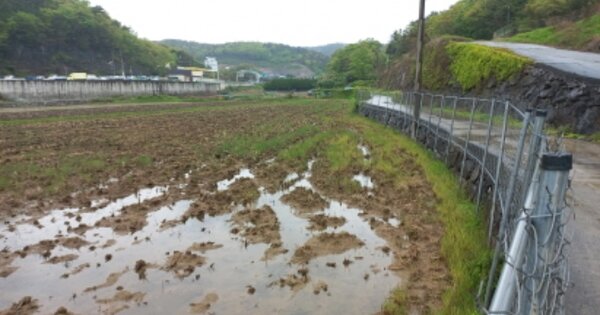 경상남도 거제시 연초면 죽토리 OOO 답 경매 물건 이미지