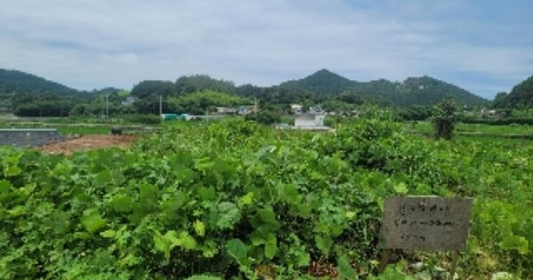 경상남도 통영시 산양읍 남평리 OOOOO 답 경매 물건 이미지