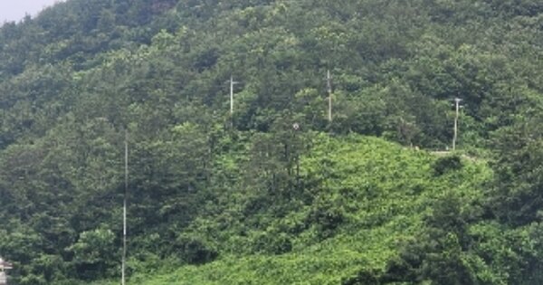 경상남도 통영시 산양읍 미남리 OOOOO 전 경매 물건 이미지
