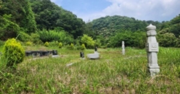 경상남도 고성군 영현면 신분리 OOO O OOO 답 경매 물건 이미지