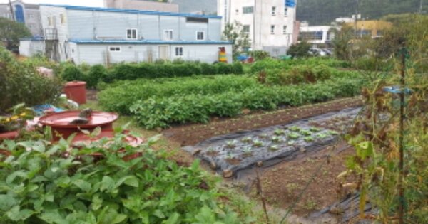 경상남도 거제시 고현동 OOOOO 답 경매 물건 이미지