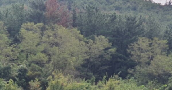 경상북도 포항시 북구 흥해읍 칠포리 OOO 전 경매 물건 이미지