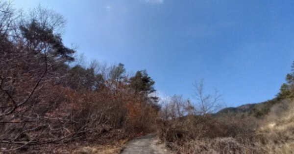 경상남도 산청군 생초면 노은리 OOO O OOO 임야 경매 물건 이미지