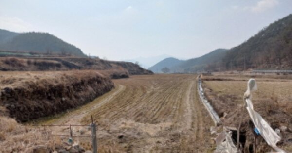 경상남도 산청군 생초면 노은리 OOOOOO 답 경매 물건 이미지