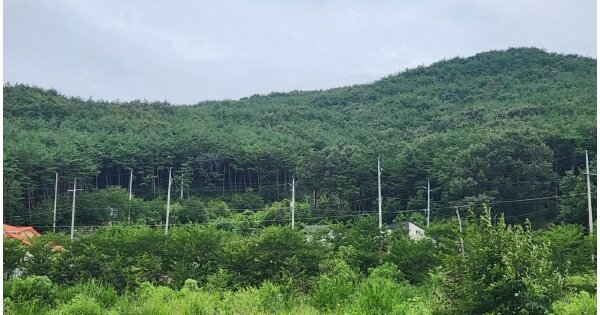 경상남도 산청군 신안면 안봉리 OOOOO O OOOO 창고시설 경매 물건 이미지