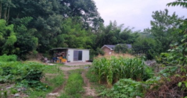 경상북도 포항시 남구 장기면 산서리 OOO 대지 경매 물건 이미지