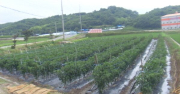 경상남도 하동군 고전면 고하리 OOO 답 경매 물건 이미지