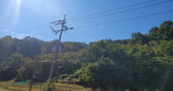 경상북도 포항시 남구 연일읍 학전리 OOOO 임야 경매 물건 이미지