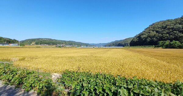 경상남도 진주시 대곡면 설매리 OOOOO O OOO 답 경매 물건 이미지