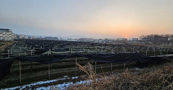 경기도 이천시 신둔면 도암리 199-2 외 1필지 전 경매 물건 이미지