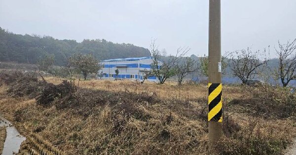 경기도 평택시 오성면 죽리 OOOOO 답 경매 물건 이미지