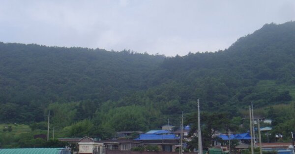 전라남도 진도군 의신면 침계리 OOO 임야 경매 물건 이미지