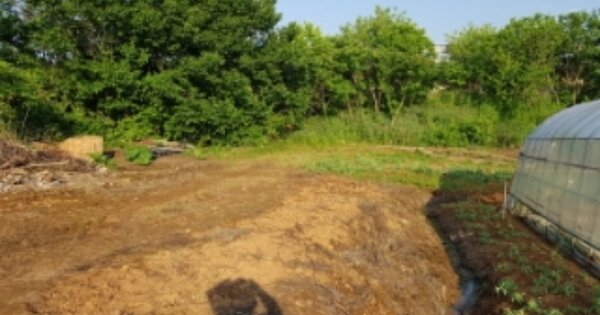충청남도 당진시 신평면 거산리 OOOOO 전 경매 물건 이미지
